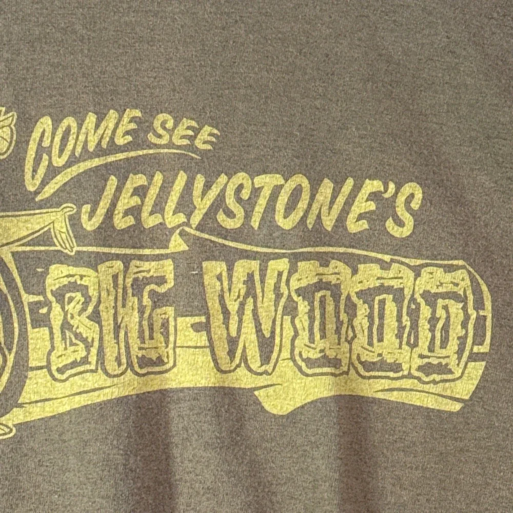 Vintage Shirt Mens Extra Large‎ Hanna Barbera JBig Wood Yogi Bear Graphic Y2K